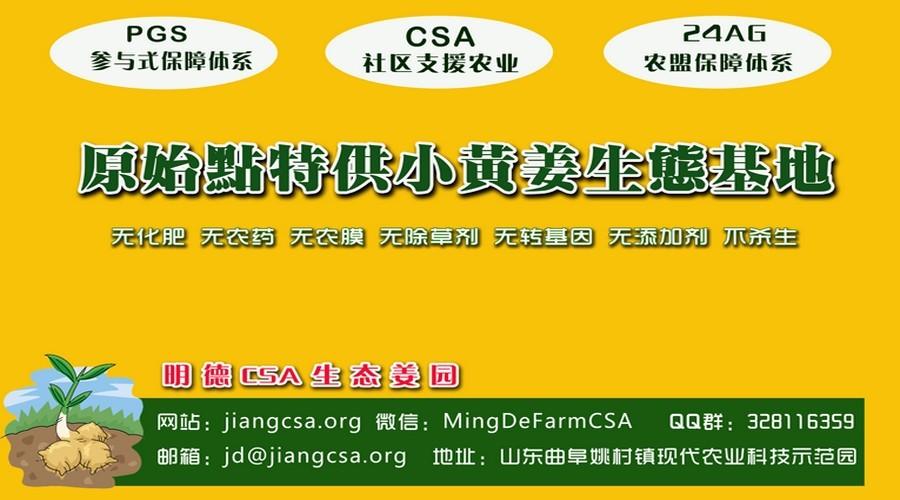東方圣城 首善之地 至善小黃姜 4月開種活動預報-七不姜 生姜養生網-明德CSA生態姜園&明安農業