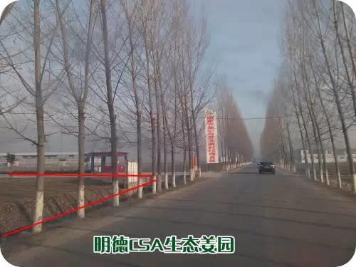 CSA生態姜園的選址：東方圣城曲阜姚村鎮現代農業科技示范園