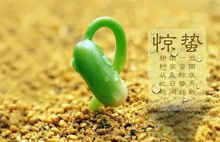 驚蟄的食物，必須有姜！（陽氣大動，風邪最盛）