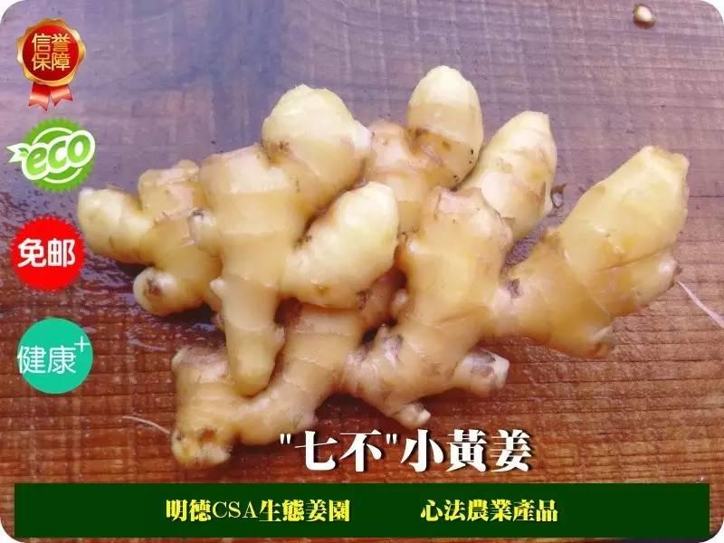 臺灣慈育書院院長、臺中市慈育愛心協會理事長、臺灣兒童教育專家廖品睿老師點評明德心法農業“七不”姜-七不姜 生姜養生網-明德CSA生態姜園&明安農業