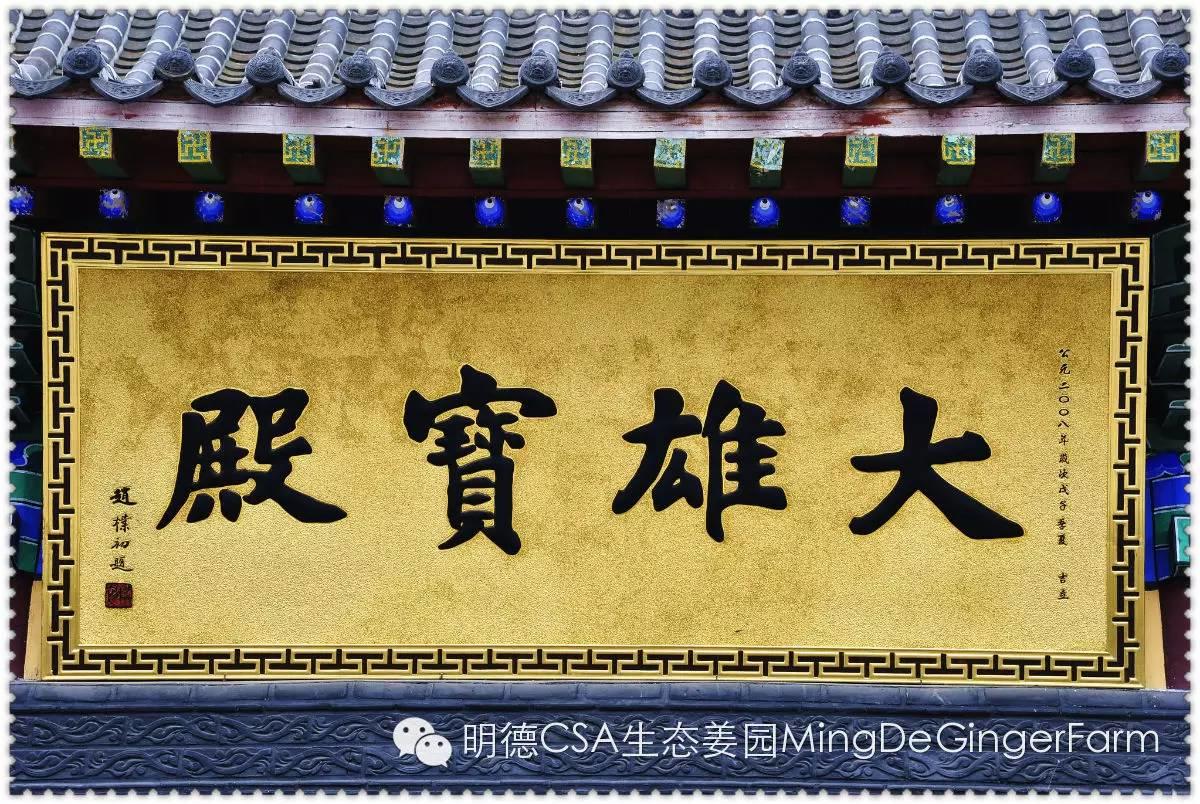 寶壽生姜辣萬年