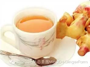 《原始點健康手冊》姜的應用 2016年3月15日第2版