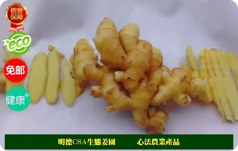 心法農業“七不”小黃姜 介紹