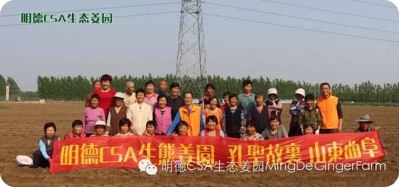尋找姜園合伙人股東，一起建設原始點特供小黃姜生態姜園