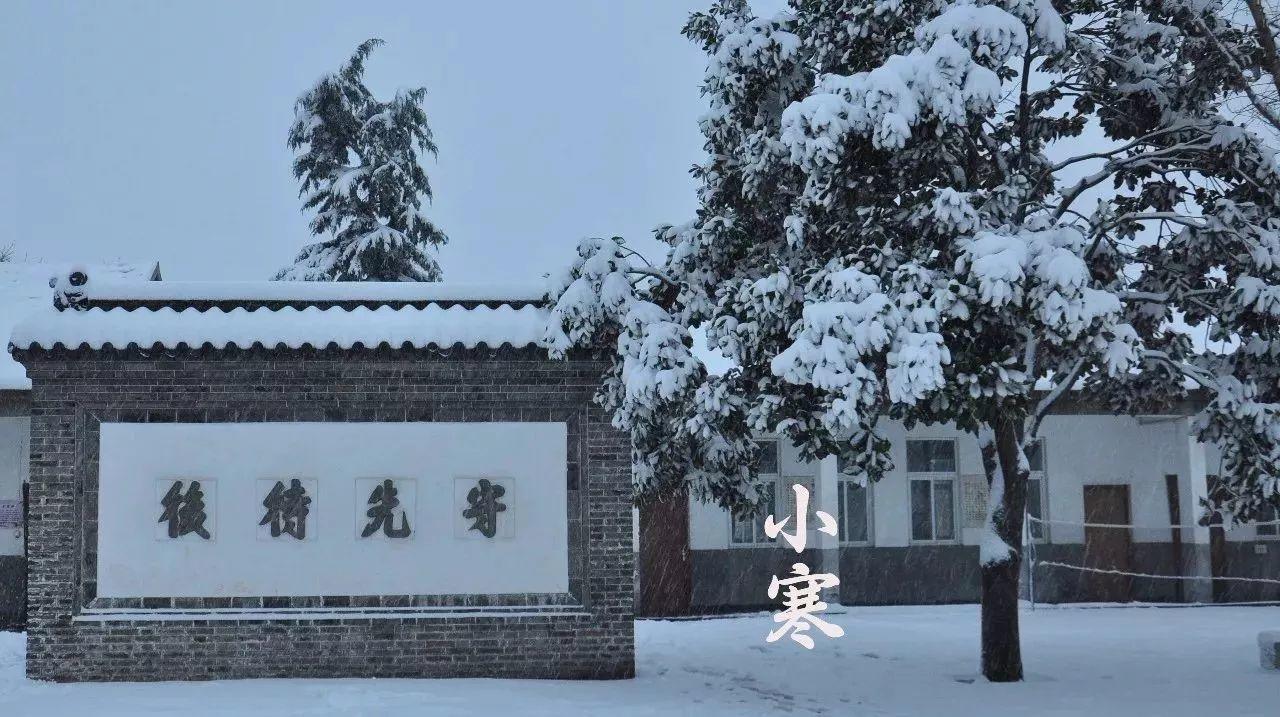 【二十四節氣】小寒-七不姜 生姜養生網-明德CSA生態姜園&明安農業