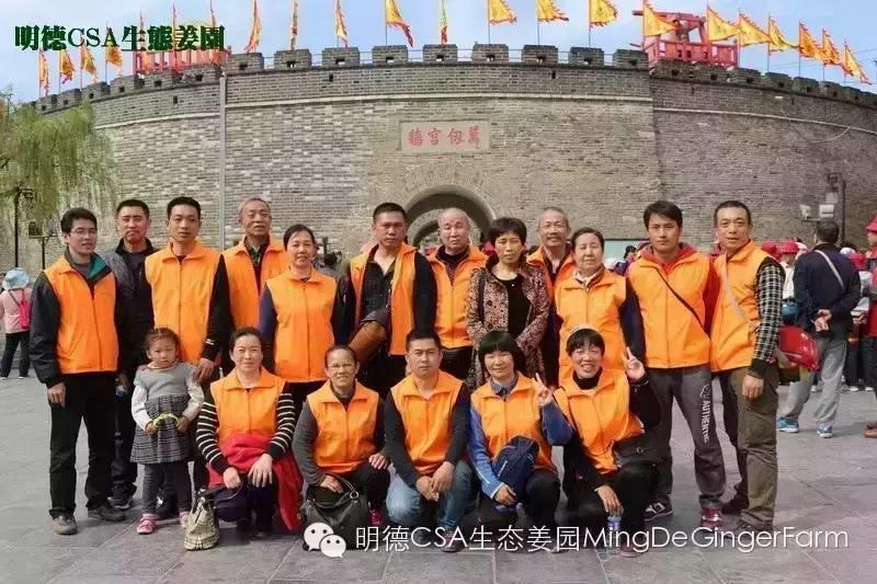 尋找姜園合伙人股東,一起建設原始點特供小黃姜生態姜園-七不姜 生姜養生網-明德CSA生態姜園&明安農業