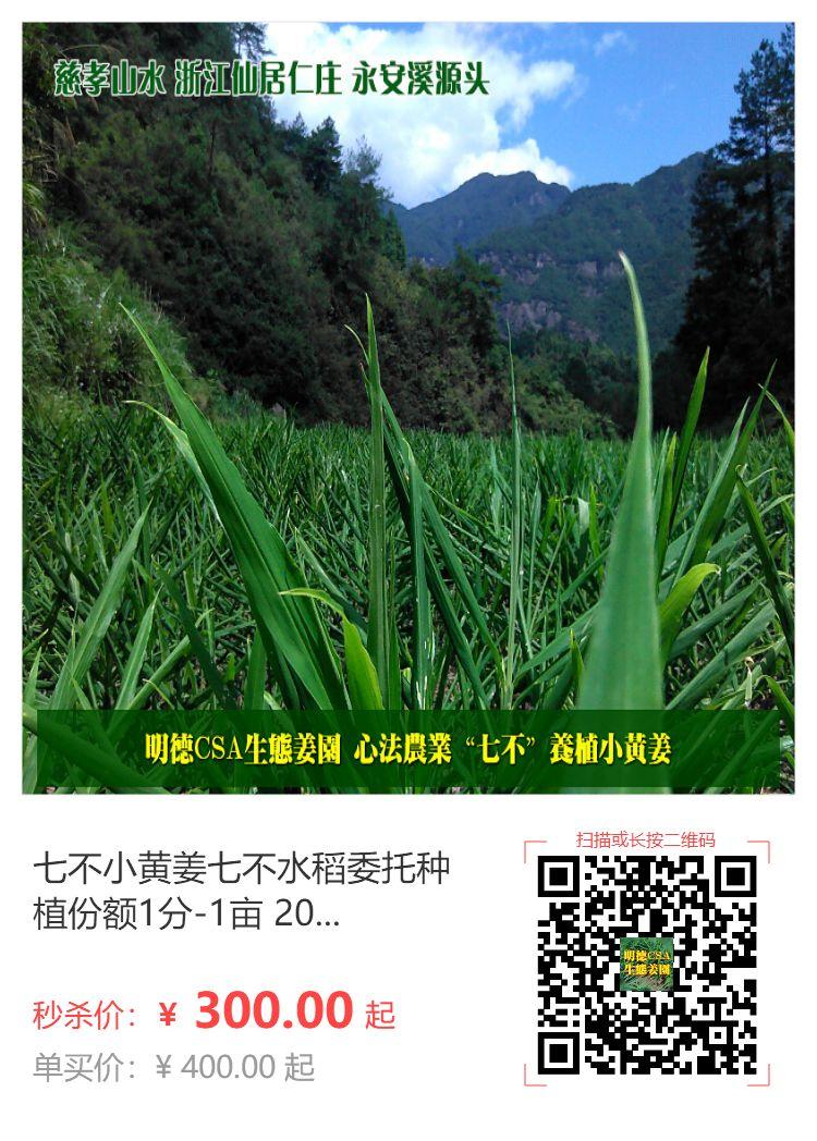 秒奪特價 七不姜