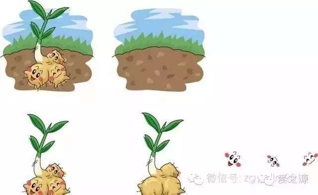 漫談姜話——揭開原始點內熱源的神秘面紗