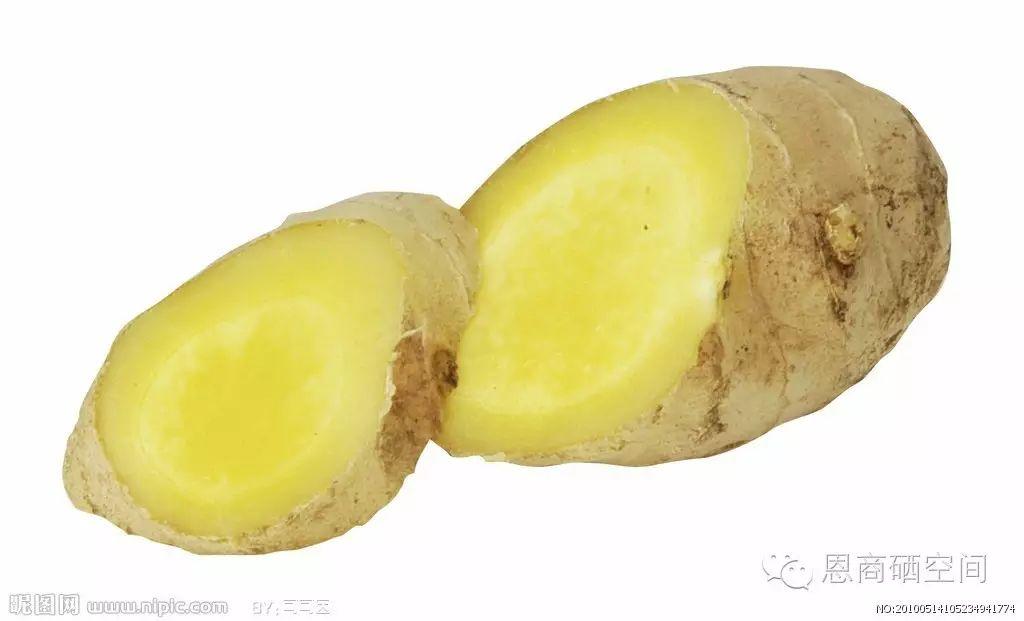 姜的世界,你還不懂-七不姜 生姜養生網-明德CSA生態姜園&明安農業