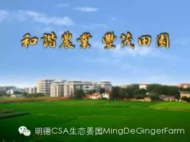 和諧農業,豐茂田園:和諧農業,萬物共生,愛護家園,造福子孫-七不姜 生姜養生網-明德CSA生態姜園&明安農業