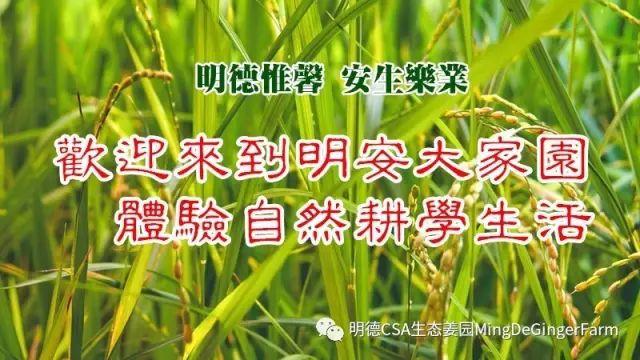 醫與湯藥