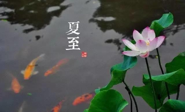 今日夏至 ,也是“一年之虛”,一碗湯教你補救回來!-七不姜 生姜養生網-明德CSA生態姜園&明安農業