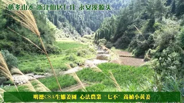 【春節放假停運公告】
