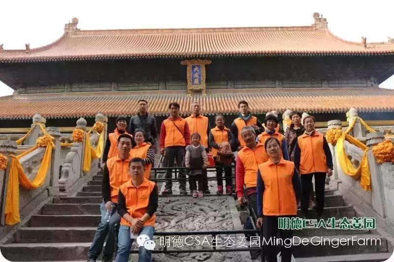 透明溯源 預售定制生態姜園7月新入股東介紹-浙江仙居吳金土-七不姜 生姜養生網-明德CSA生態姜園&明安農業