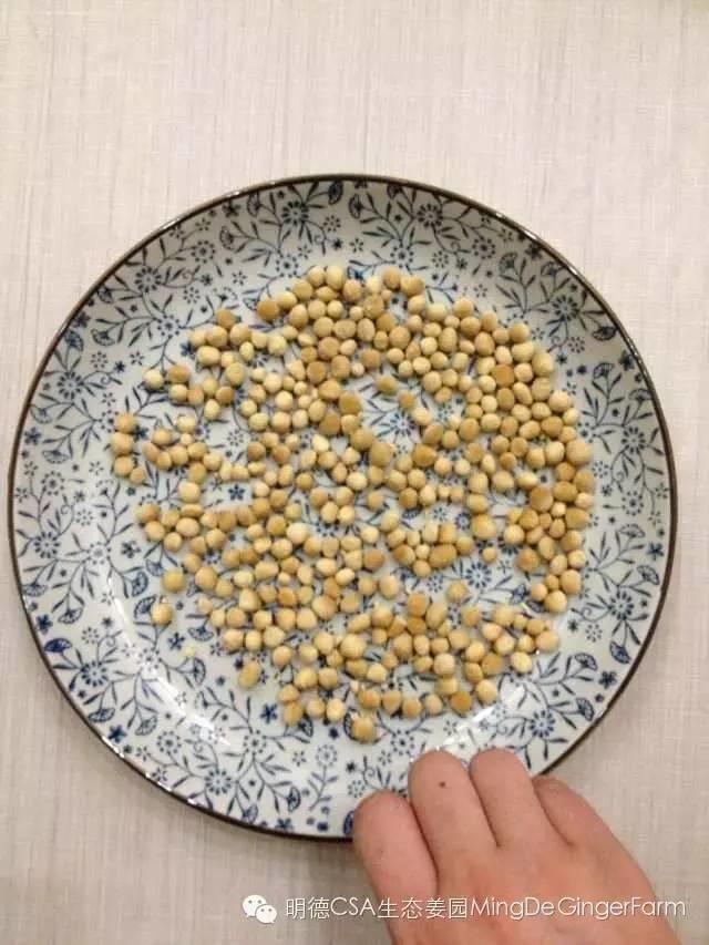 懶人自制姜丸記-附姜丸制作方法