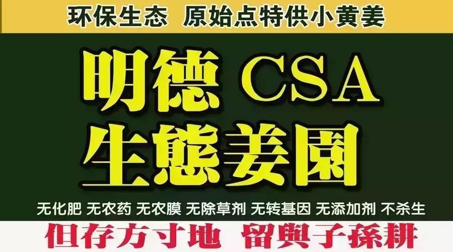 “七不”生態姜園總監、發起人張洪德老師介紹-焦作原始點志愿者公益服務中心創始人-七不姜 生姜養生網-明德CSA生態姜園&明安農業