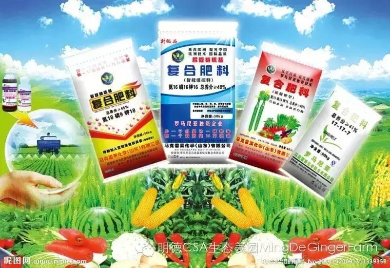 農藥、化肥、激素給人類的環境帶來巨大的危害!-七不姜 生姜養生網-明德CSA生態姜園&明安農業