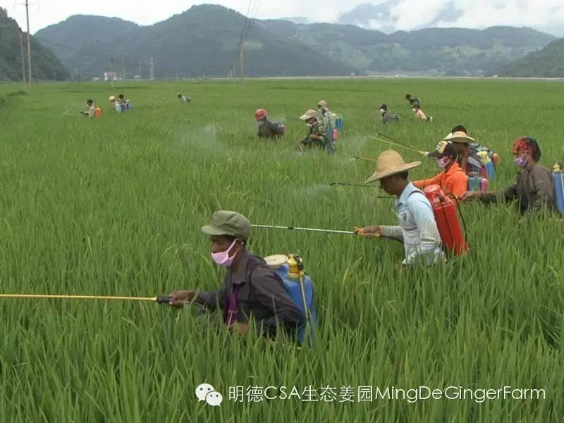 農藥、化肥、激素給人類的環境帶來巨大的危害! 農藥、化肥、激素給人類的環境帶來巨大的危害!
