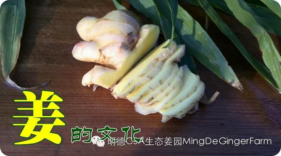 第一個見到生姜的歐洲人，居然是他！-七不姜 生姜養生網-明德CSA生態姜園&明安農業