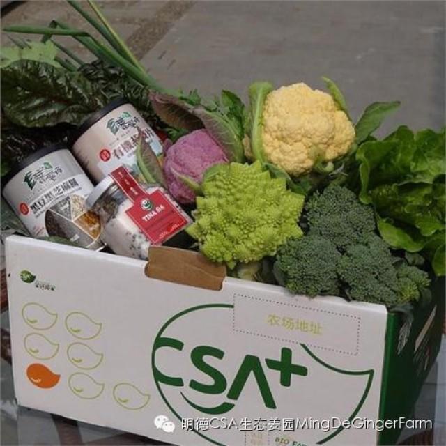 CSA社區支持農業-七不姜 生姜養生網-明德CSA生態姜園&明安農業