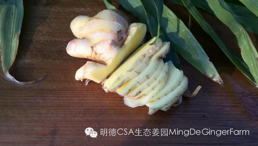 傳統姜文化與名人說-七不姜 生姜養生網-明德CSA生態姜園&明安農業