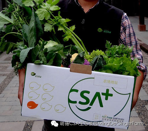CSA社區支持農業
