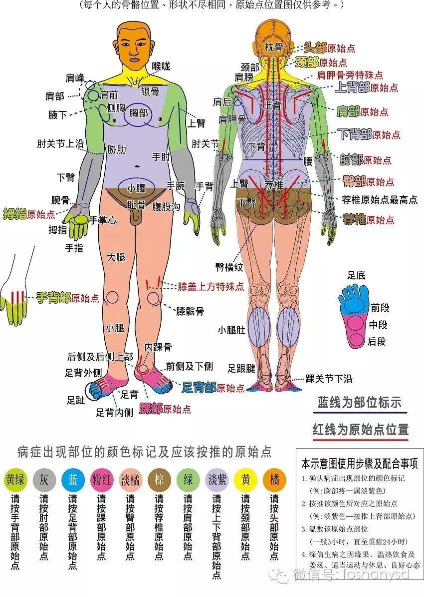 原始點找法及按推之力量、時間與次數