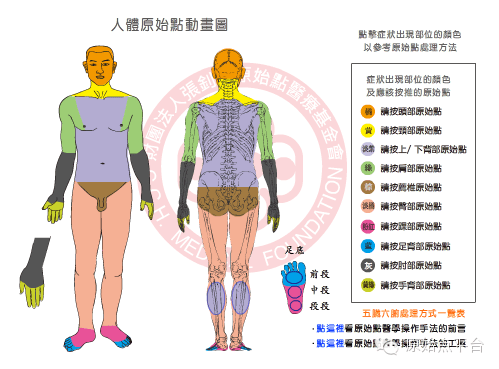 【原始點價值】原始點療法推揉教戰守則，僅供學員收藏！