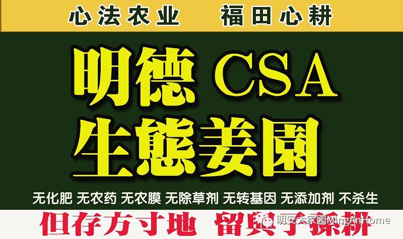 2018年10月心法農業 福田心耕 明德薑園秋收感恩節邀請函（浙江仙居 10.27-11.1）