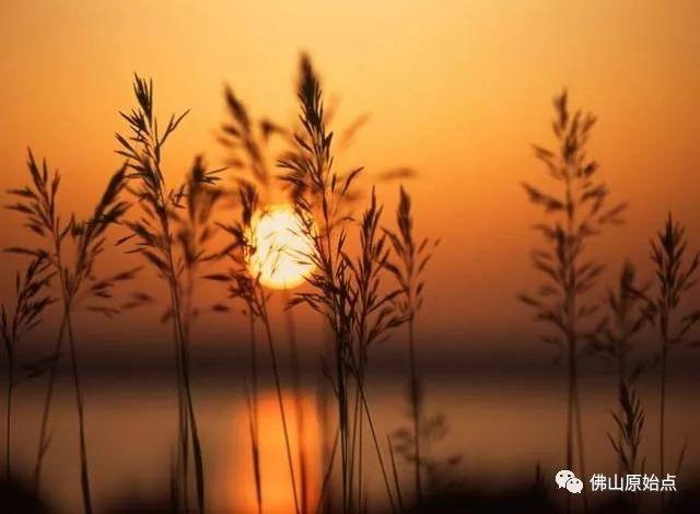 原始點調理帶狀皰疹:又快又徹底 原始點調理帶狀皰疹:又快又徹底