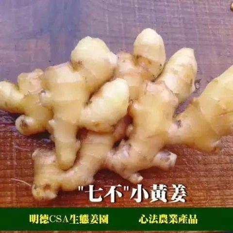 特惠周期購 月月有鮮姜 5斤 ‘七不’小黃姜生姜(老姜)原始點特供包郵 多訂多送 月月有七不良心小黃姜!-七不姜 生姜養生網-明德CSA生態姜園&明安農業