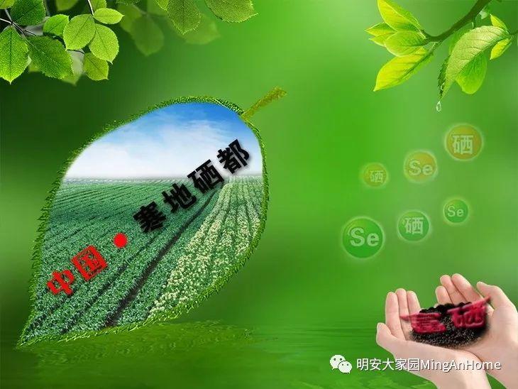 CSA委托七不種植 黑龍江硒都海倫 水稻土地配送份額1分-1畝 寒地世界頂級品種苗稻2號 2019年CSA土地份額認購
