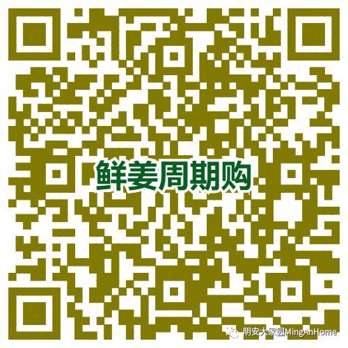 特惠周期購 月月有鮮姜 5斤 ‘七不’小黃姜生姜（老姜）原始點特供包郵 多訂多送 月月有七不良心小黃姜！