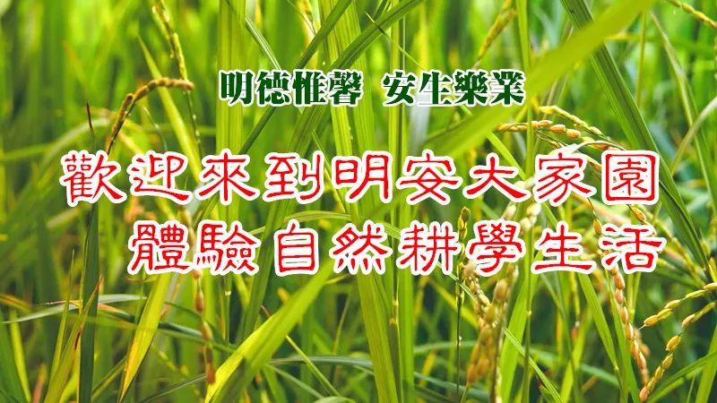 2019年浙江仙居 7月8月 兒童青少年國學耕讀夏令營 招生 -自然 生態 樂和 健康