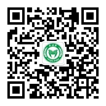 張醫師示范姜粉泥按推