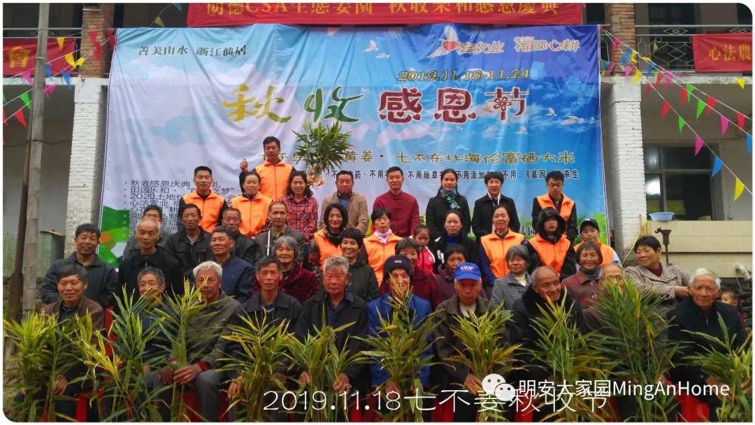 七不小黃姜秋收2019年11月18-24日 心法農業 福田心耕 原始點家人志愿者秋收感恩節