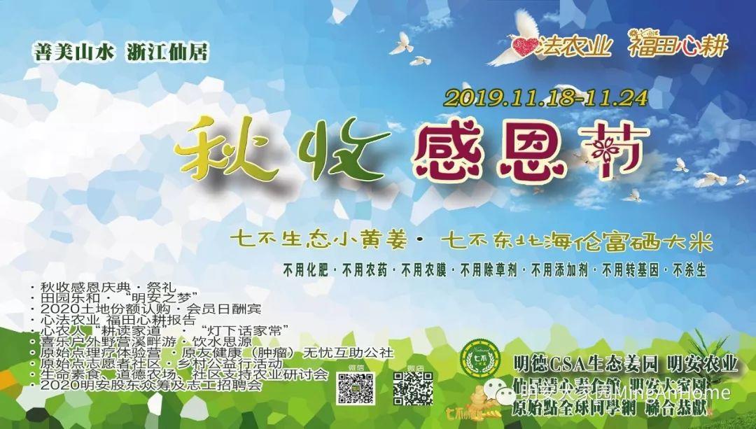 七不小黃姜秋收2019年11月18-24日 心法農業 福田心耕 原始點家人志愿者秋收感恩節