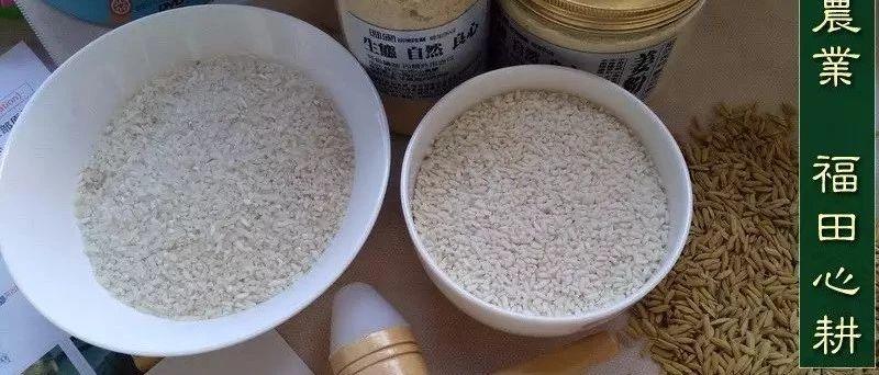專家:小心米飯中的砒霜 改變烹調方法-七不姜 生姜養生網-明德CSA生態姜園&明安農業