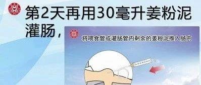 姜粉泥灌腸治好腸沾黏案例-七不姜 生姜養生網-明德CSA生態姜園&明安農業