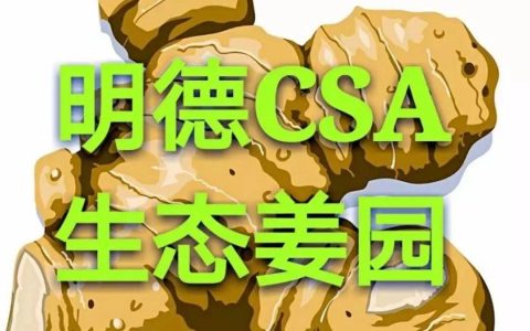 寒邪都來了!喝一碗正氣姜湯  奉一炷恭敬清香。清明與姜,誰也離不了誰-七不姜 生姜養生網-明德CSA生態姜園&明安農業