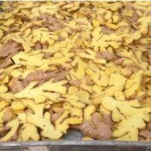 原始點姜的應用 新第16版  圖片-七不姜 生姜養生網-明德CSA生態姜園&明安農業