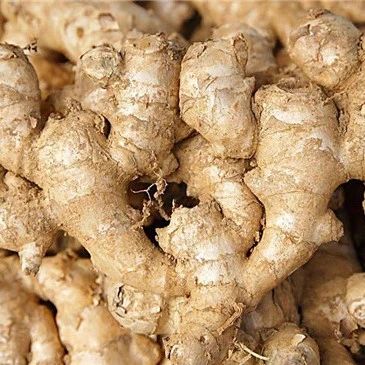 過了谷雨就入夏！想要保安康，夏季得吃它！提前看！-七不姜 生姜養生網-明德CSA生態姜園&明安農業