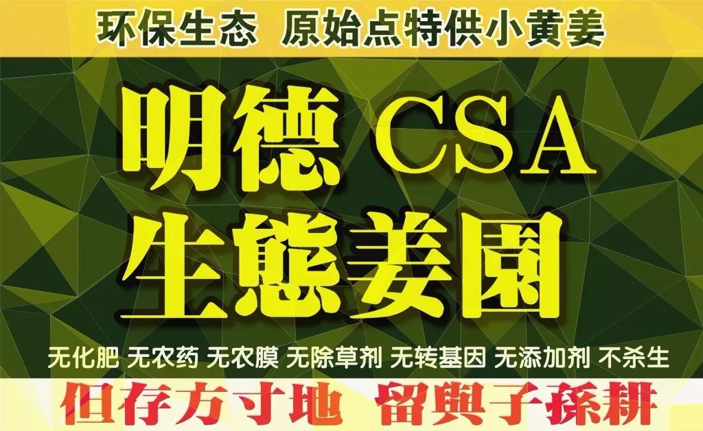 正直行道！永言配命！誠招心法農業七不姜網絡分銷代理；零成本庫存！心法農業 福田心耕之自然 生態 良心“七不”小黃姜網絡分銷代理