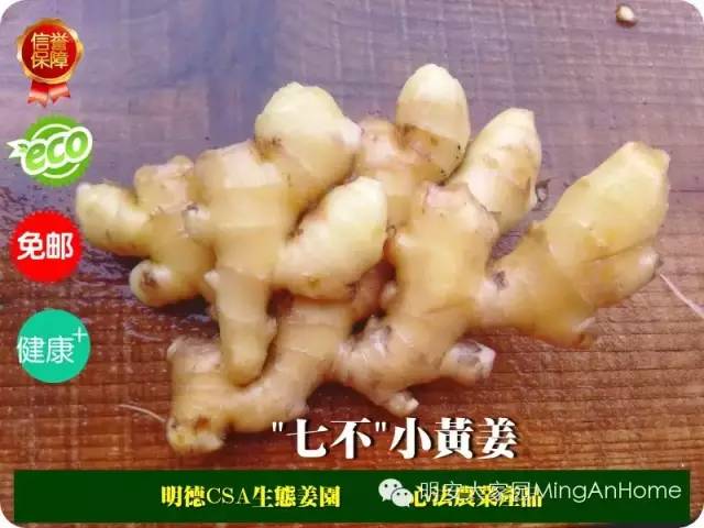 看過來！ヾ(●′?｀●)?哇～招募原始點分銷代理誠招心法農業七不姜網絡分銷代理；！“七不”小黃姜網絡分銷代理