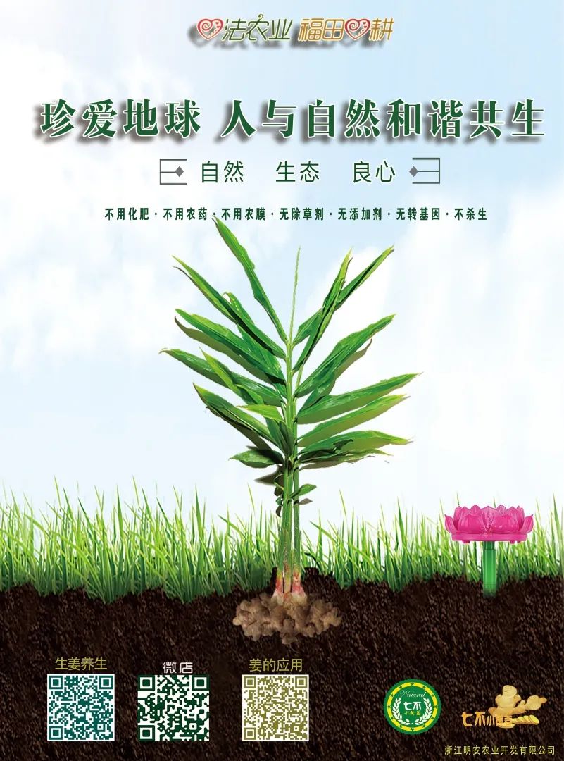 明德CSA生態姜園 2020年國慶節及中秋節放假及營業時間公告