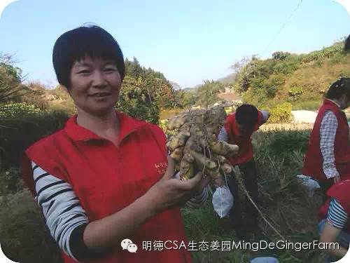 心法農業 福田心耕 明德CSA生態姜園發起股東及創業團隊介紹一