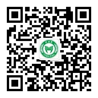 張醫師示范姜粉泥按推