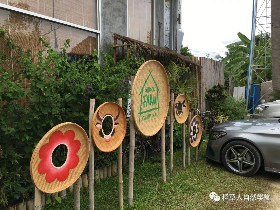 探訪清邁Ginger Farm（2018.7.7）