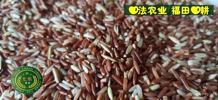 預定有禮-訂購大米送生姜。2022年秋收浙江仙居新米⑤紅秈米④黑米⑨勇優12粳米⑥糯米⑩香米華優18秈米 ⑾嘉豐優2號秈米 預定有禮-訂購大米送生姜。2022年秋收浙江仙居新米⑤紅秈米④黑米⑨勇優12粳米⑥糯米⑩香米華優18秈米 ⑾嘉豐優2號秈米