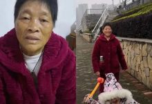 案例分享:70歲老人腹痛(醫院初診可能升結腸癌)飛蛾癥、腿抽筋、失眠調理案例-七不姜 生姜養生網-明德CSA生態姜園&明安農業